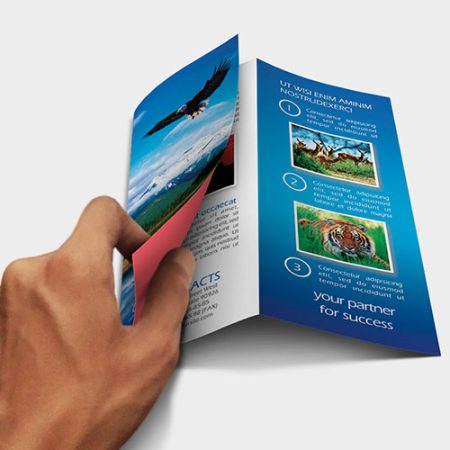 Z-fold leaflets