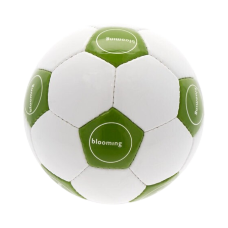 Promotional Football